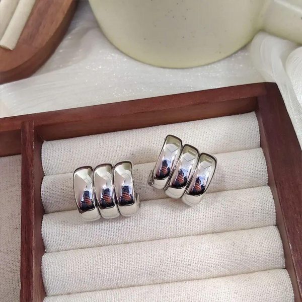 Multi-Layered Silver Earrings