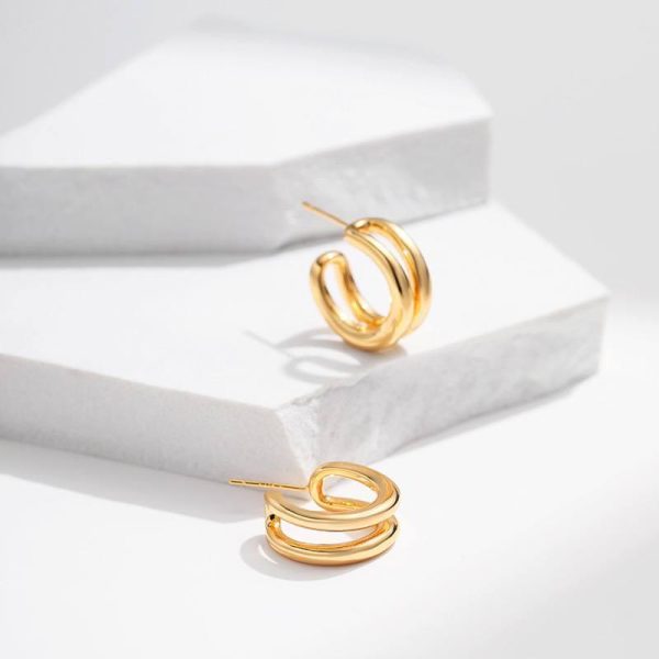 Elegant Double Hoop Gold Earrings