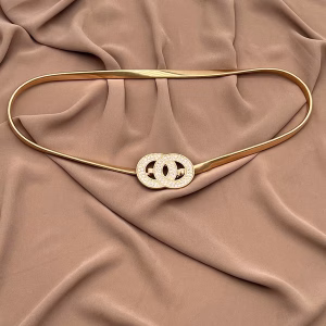 Metal belt in the form of interlocking circular rings